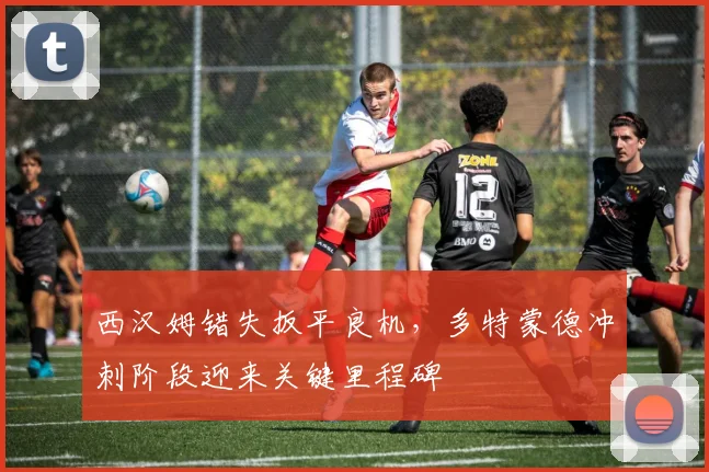 西汉姆错失扳平良机，多特蒙德冲刺阶段迎来关